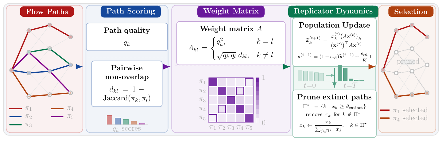 Replicator dynamics convergence over candidate paths